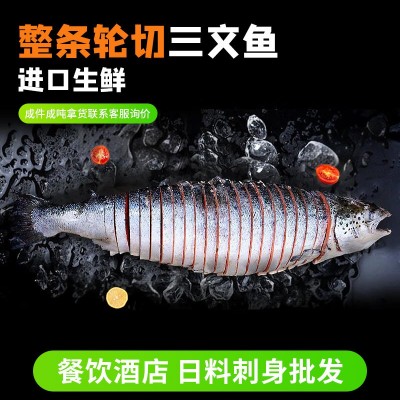 进口三文鱼整条轮切餐饮饭店批发日料刺身生鲜三文鱼切片寿司食材