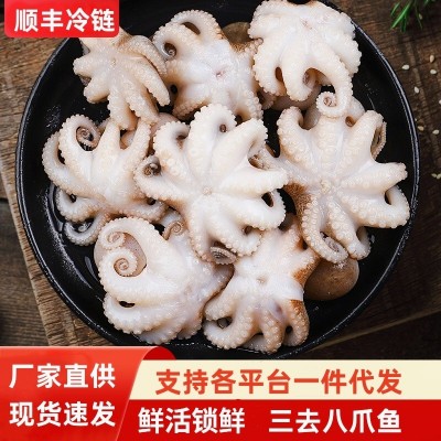 三去八爪鱼新鲜迷你小鱿鱼去牙去内脏八爪鱼冷冻捞汁小海鲜商用