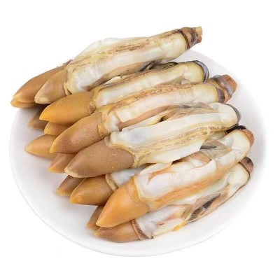大号蛏子肉新鲜现剥蛏王肉竹节蛏竹蛏王鲜活冰冻海圣子肉商用批发图5