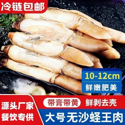 大号蛏子肉新鲜现剥蛏王肉竹节蛏竹蛏王鲜活冰冻海圣子肉商用批发图2