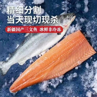 国产新疆三文鱼刺身用三文鱼现切中段虹鳟鱼日式料理自助餐厅食材图3