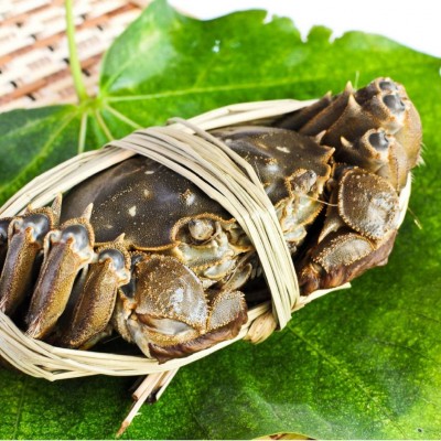 顺丰包邮鲜活满黄大闸蟹礼盒5两公蟹4两母蟹4对固城湖产地直发图3