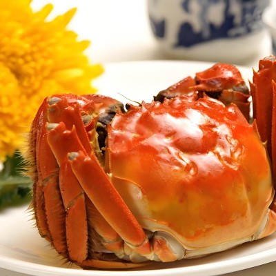 顺丰包邮全母蟹大闸蟹螃蟹鲜活2两-2.5两河蟹6只养殖基地直发图2