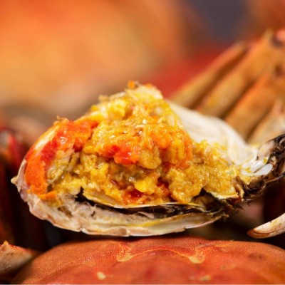 顺丰包邮全母蟹大闸蟹螃蟹鲜活2两-2.5两河蟹6只养殖基地直发图3