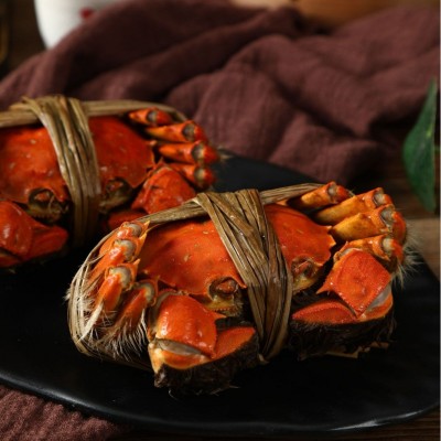 固城湖大闸蟹4两公蟹3两母蟹八只鲜活螃蟹礼盒顺丰包邮图5