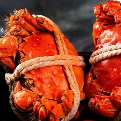 固城湖大闸蟹4两公蟹3两母蟹八只鲜活螃蟹礼盒顺丰包邮图2