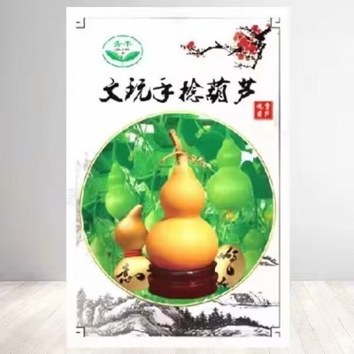 【阳台盆栽】手捻葫芦小葫芦种子籽观赏迷你金寸微型玩具葫芦种籽图5