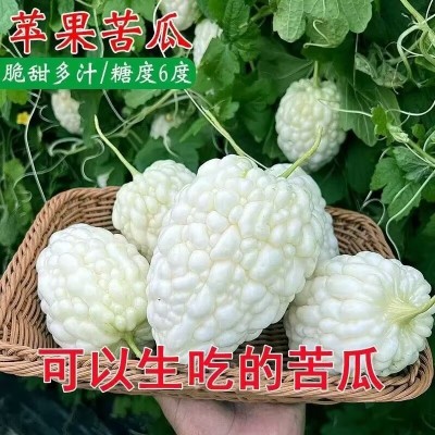 四季播种苹果苦瓜种子甘甜水果苦瓜种子台湾苹果苦瓜种子蔬菜种子图3