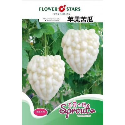 四季播种苹果苦瓜种子甘甜水果苦瓜种子台湾苹果苦瓜种子蔬菜种子图5