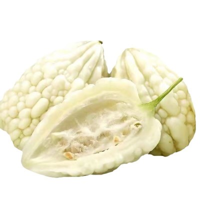 四季播种苹果苦瓜种子甘甜水果苦瓜种子台湾苹果苦瓜种子蔬菜种子图4