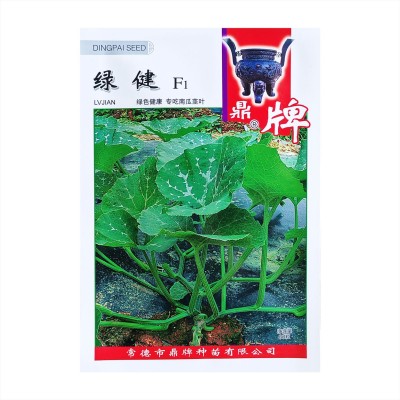 鼎牌绿健 专吃南瓜茎叶 南瓜藤种子茎叶柔软清爽无涩味 80粒图5