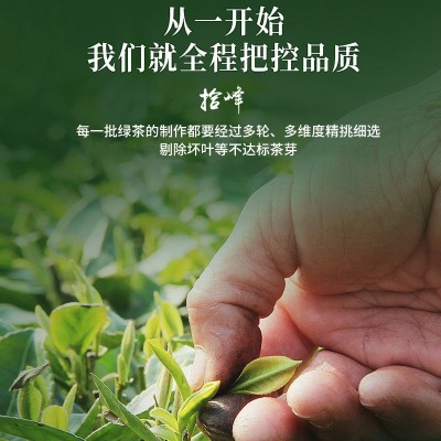 明前碧螺春浓香散装批发 2025新茶手工茶卷曲型绿茶茶叶 厂家定制图4