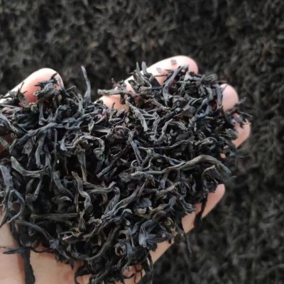 奶茶店商用茶 奶茶原料茶供应 蜜香红茶乌龙茶厂家 批发支持拿样图4