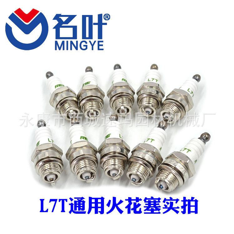 L7T火花塞.jpg