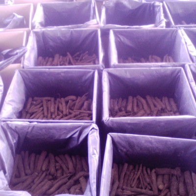 泡桐种根 紫花速生泡桐 农场基地批发庭院庭院树