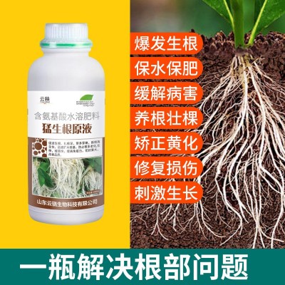 猛生根原液强力生根剂植物移栽扦插生根剂果树花卉水培通用生根肥图2