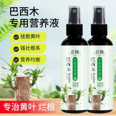 植物家用养花肥料巴西木专用型营养液盆栽幸运木促芽促根水养水培图3