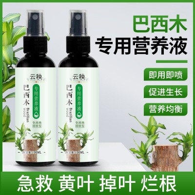 植物家用养花肥料巴西木专用型营养液盆栽幸运木促芽促根水养水培图2