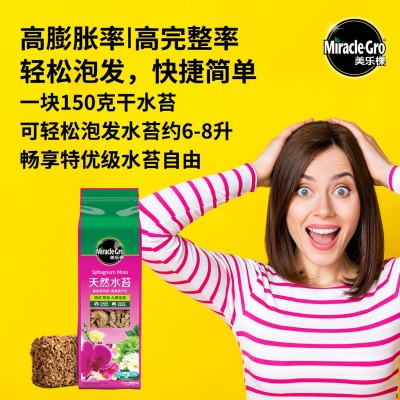 水苔蝴蝶兰专用营养土干苔藓青苔石斛花乌龟冬眠垫材兰花土烂根图3