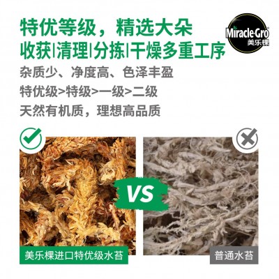 水苔蝴蝶兰专用营养土干苔藓青苔石斛花乌龟冬眠垫材兰花土烂根图2