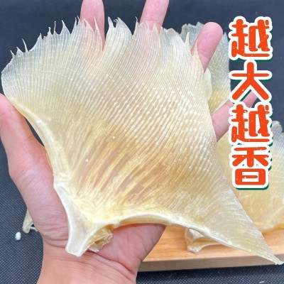 【工厂批发】天九翅鱼翅海狗翅海鲜煲汤蒲鱼翅天星翅魔鬼鱼鳐鱼翅图3