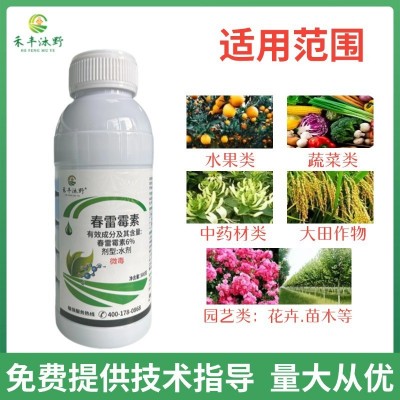 6%春雷霉素水稻稻瘟病角斑病软腐病春雷雷霉素春蕾霉素农 药杀菌图3