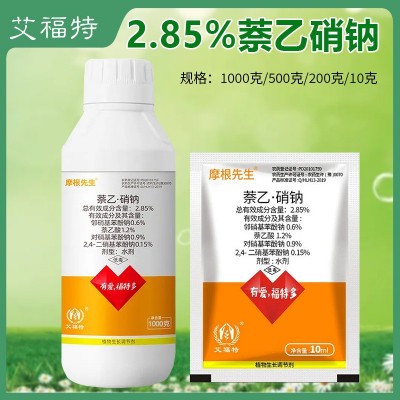 2.85%萘乙硝钠植物生长调节剂萘乙酸复硝酚钠冬小麦生根促根农药图3