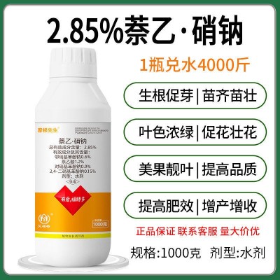 2.85%萘乙硝钠植物生长调节剂萘乙酸复硝酚钠冬小麦生根促根农药图5