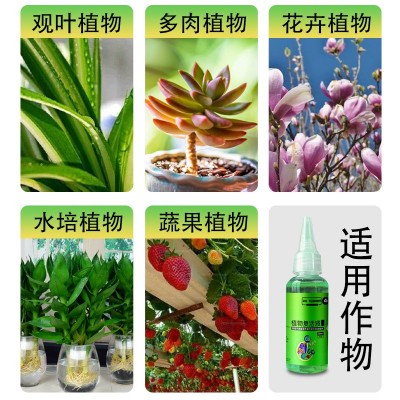 植物复活液 解决植物黄叶 半死不活急救土培水培盆栽花卉等复活剂图4