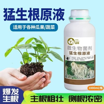 涵物猛生根原液强力生根壮苗移栽插果蔬花卉绿植促根微生物壮根肥图2