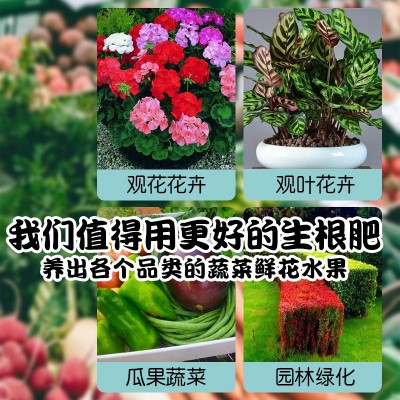 快速生根粉植物多肉树木发根强力助生长发根壮苗营养液厂家批发图2