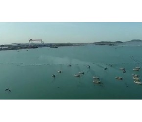 海上的海带养殖场，原来海带都是绑在绳子上的，涨知识了