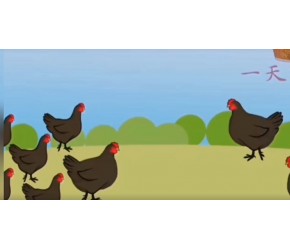 【农业养殖】你养的鸡有没有大小不一，这有小妙招供你参考
