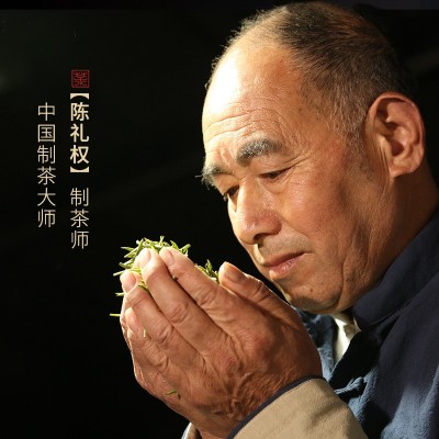 2025新茶明前特级茶叶高山毛尖绿茶安徽春茶叶自己喝500 g散装批发图3