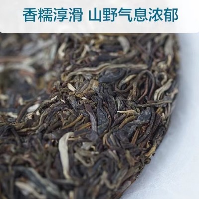 批发 云南茶叶普洱茶小饼生茶饼 临沧产区勐库老树茶冰岛100克图4