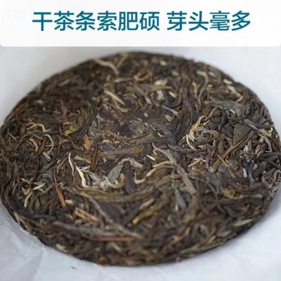 批发 云南茶叶普洱茶小饼生茶饼 临沧产区勐库老树茶冰岛100克图3