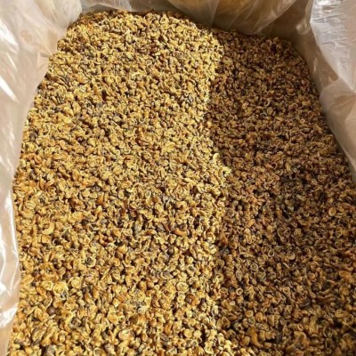 现货批发云南滇红茶2024年头春凤庆滇红密香金螺500g散装金螺红茶图2