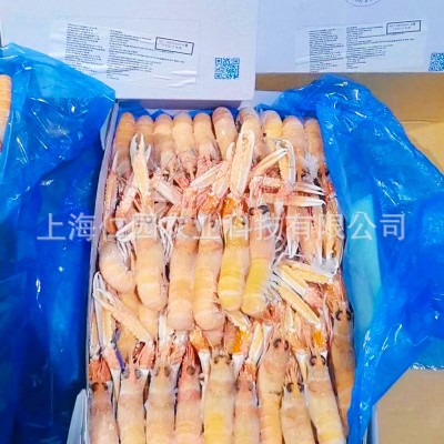 爱尔兰海鳌虾3kg 原装进口刺身级深海鳌虾批发超低温刺身速冻海虾图3