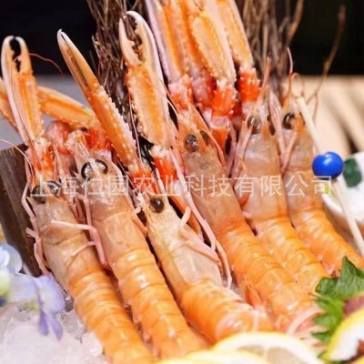 爱尔兰海鳌虾3kg 原装进口刺身级深海鳌虾批发超低温刺身速冻海虾图4