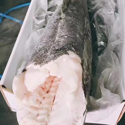 法国进口正宗银鳕鱼整条 精选南极犬牙鱼深海鳕鱼去鳞商用批发图3