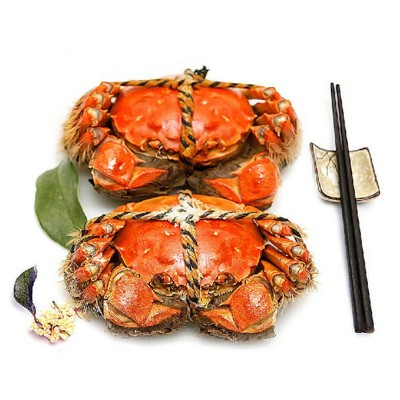 大闸蟹鲜活现货特大螃蟹批发 海鲜水产 河蟹公蟹批发图5