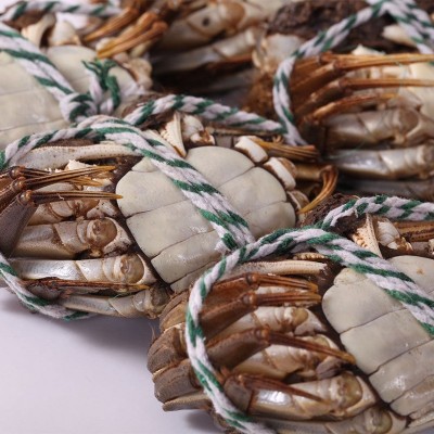 新品螃蟹 现货特大鲜活大闸蟹 葫芦娃水产 精品大闸蟹图2