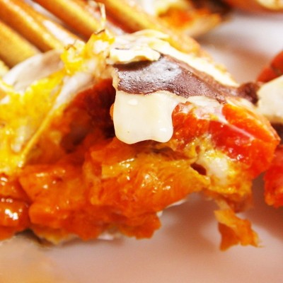 满黄全母鲜活大闸蟹 10只特大母螃蟹现货镇发海鲜水产礼盒图3