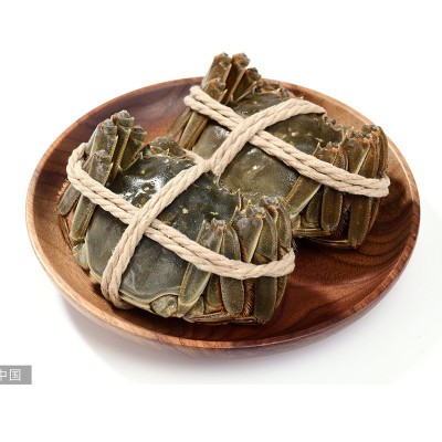 满黄全母鲜活大闸蟹 10只特大母螃蟹现货镇发海鲜水产礼盒图5