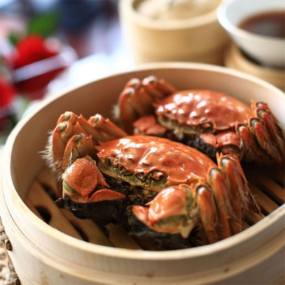 满黄全母鲜活大闸蟹 10只特大母螃蟹现货镇发海鲜水产礼盒图4