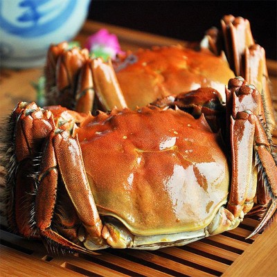 大闸蟹兴化 10只装2.8-3.2母螃蟹中秋节礼盒鲜活螃蟹批代发图3