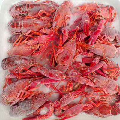 现货供应冷冻龙虾 速冻清水小龙虾 酒店饭店用盒装冷冻虾图2