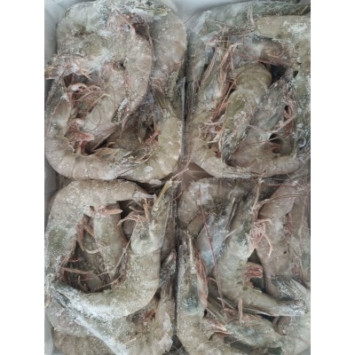 正大对虾26/30鲜虾速冻每盒1.4kg大虾熟虾适合白灼酒楼自助餐商用图2