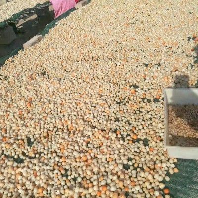 海鲜纯淡足干煲汤食材水产海产品500g扇贝柱丁干贝瑶柱干货批发图4