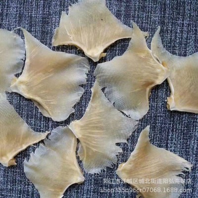 渔家自晒鳐鱼翅海狗鱼翅煲汤材料海产干货500g天星翅浦鱼翅批发图2